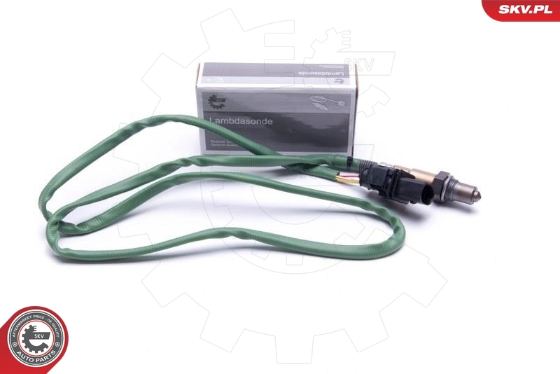 Oxygen Sensor